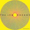 The Lemonheads - 'Varshons' (Cover)