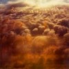 Bowerbirds - 'Upper Air' (Cover)