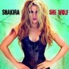 Shakira - 'She Wolf' (Cover)