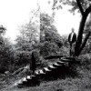 Timber Timbre - 'Timber Timbre' (Cover)