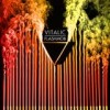 Vitalic - 'Flashmob' (Cover)
