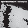 A Place to Bury Strangers - 'Exploding Head' (Cover)