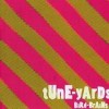 Tune Yards - Bird-Brains: Album-Cover
