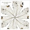 The Pineapple Thief - '3000 Days' (Cover)