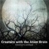 Creature With The Atom Brain - 'Transylvania' (Cover)