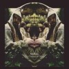 Midlake - 'The Courage Of Others' (Cover)