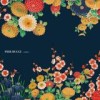 Pier Bucci - 'Amigo' (Cover)