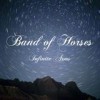 Band Of Horses - 'Infinite Arms' (Cover)