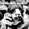 Erdmöbel - 'Krokus' (Cover)