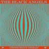 The Black Angels - 'Phosphene Dream' (Cover)