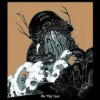 The Joy Formidable - 'The Big Roar' (Cover)