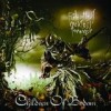 Children Of Bodom - 'Relentless Reckless Forever' (Cover)