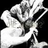 The Stories - 'Vainforest' (Cover)