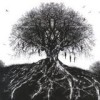 Helhorse - 'For Wolves And Vultures' (Cover)