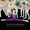 The Felice Brothers - 'Celebration, Florida' (Cover)