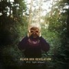 The Black Box Revelation - 'My Perception' (Cover)