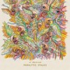 Of Montreal - 'Paralytic Stalks' (Cover)
