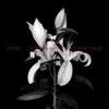 Sport - 'Aus der Asche, aus dem Staub' (Cover)