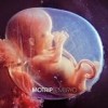 MoTrip - 'Embryo' (Cover)
