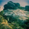 Band Of Horses - 'Mirage Rock' (Cover)