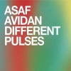 Asaf Avidan - 'Different Pulses' (Cover)