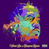 Big Boi - Vicious Lies And Dangerous Rumors: Album-Cover