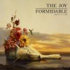 The Joy Formidable - 'Wolf's Law' (Cover)