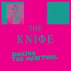 The Knife - 'Shaking The Habitual' (Cover)