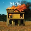 The Veils - 'Time Stays, We Go' (Cover)