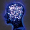 Enter Shikari - The Mindsweep: Album-Cover