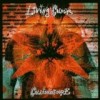 Living Colour - 'CollideØscope' (Cover)
