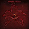 Machine Head - 'The Burning Red' (Cover)