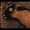 Ministry - 'Animositisomina' (Cover)