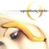 A Perfect Circle - 'Thirteenth Step' (Cover)