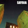 Saybia - 'The Second You Sleep' (Cover)