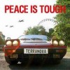 Terranova - 'Peace Is Tough' (Cover)