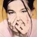 Björk - Serbisches Festival cancelt Auftritt