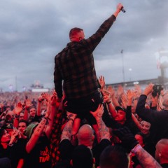 Feine Sahne Fischfilet.