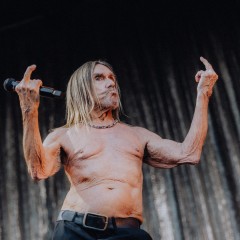 Iggy Pop.