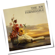 The Joy Formidable