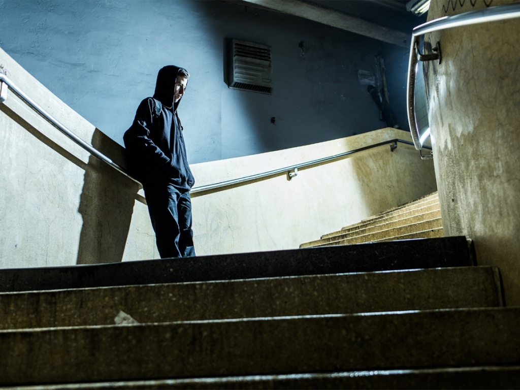 Alan Walker Laut De Videos