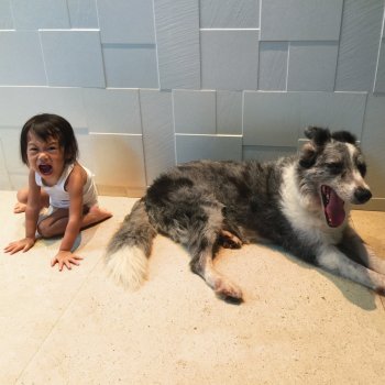 And So I Watch You From Afar - The Endless Shimmering Artwork