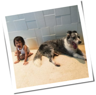 And So I Watch You From Afar - The Endless Shimmering