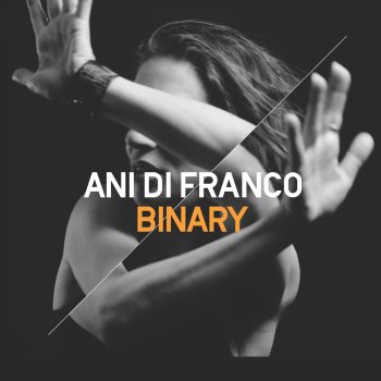 Ani DiFranco - Binary Artwork