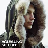 Aqualung - Still Life Artwork