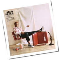 Arlo Parks - Collapsed In Sunbeams