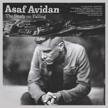 Asaf Avidan - The Study On Falling Artwork