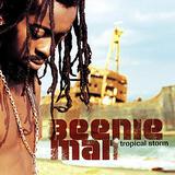 Beenie Man - Tropical Storm Artwork