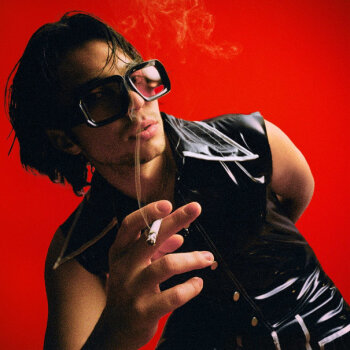 Bibiza - Wiener Schickeria Artwork