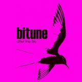 Bitune - After The Fire